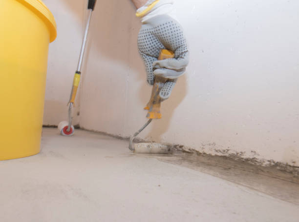 Best Termite Inspection and Treatment  in La Joya, TX